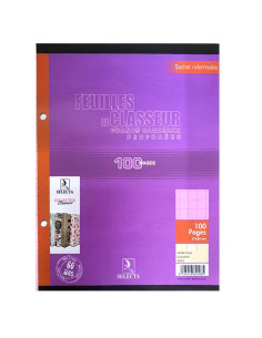 100 Feuilles Recharge Classeur Rose, 17x22 80gr - Selecta
