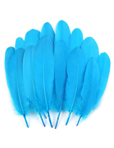 15 Plumes Naturelles Coloré 20 cm