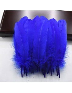 20 Plumes Naturelles Coloré 15 cm
