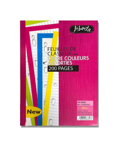 200 Feuilles Classeur Couleurs Assorties - Selecta