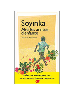 Aké, les années d'enfance - Wole Soyinka