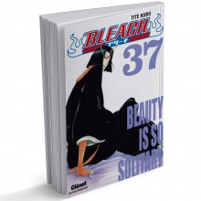 Bleach - Tome 37, Beauty Is So Solitary