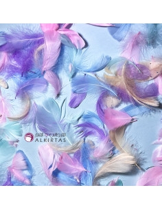 Blister Plume Couleur, Pastel - FA1065-1
