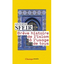 BREVE HISTOIRE DE L'ISLAM A L'USAGE DE TOUS