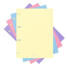 Cahier à Anneaux Pastel A4, 80F - ErichKrause