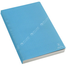 Cahier Brochure Seyes Polypro A4, 300 Pages - Selecta