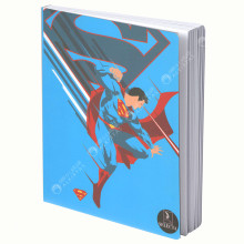 Cahier Piqué Dc Comics 17x22, 288 Pages - Selecta
