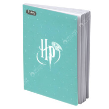 Cahier Piqué Liberta Harry Potter 17x22, 288 Pages - Selecta