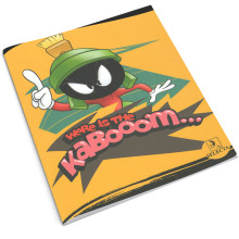 Cahier Piqué Looney Tunes 17x22, 48 Pages - Selecta