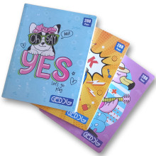 Cahier Super GED 288 pages 17/22