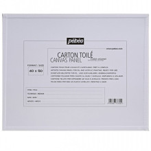 Carton Toilé Enduit Universel Européen 40x50 cm - Pébéo