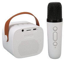 CESAR K1 Wireless Karaoke Speaker Haut-Parleur Bluetooth avec Microphone Sans Fil