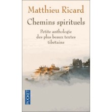 CHEMIN SPIRITUELS - RICARD