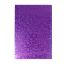 Classeur PP VIQUEL D20 A4