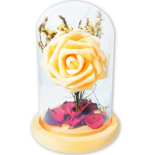 Cloche En Verre Lumineuse Gm