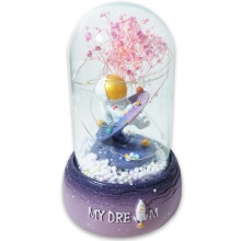 Cloche En Verre Lumineuse Musicale Pm, My Dream