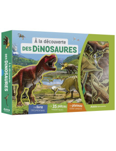 Coffret Magnétique à La Découverte des Dinosaures - Auzou