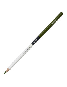 Crayon de Couleur 4.0 Carioca Plus Color Pencil - 23 Vert Foncé
