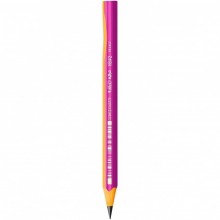 CRAYON NOIR BIC EVOLUTION FLUO
