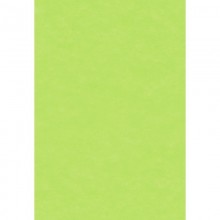 CREPON COOL VERT PISTACHE 80-12