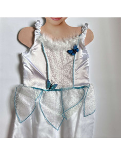 Déguisement De Princesse - Cendrillon