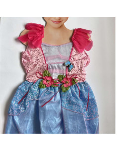 Déguisement De Princesse