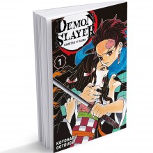 Demon Slayer, FR Tome 1