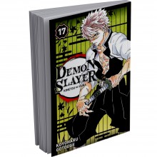 Demon Slayer, FR Tome 17