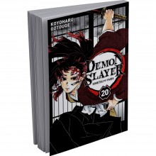 Demon Slayer, FR Tome 20