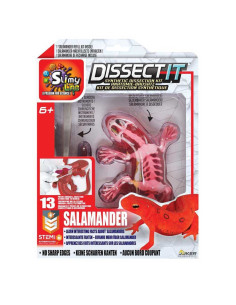 Dissect It - Joker