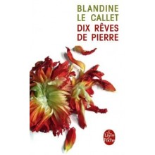 DIX REVES DE PIERRE