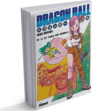 Dragon Ball, Edition Originale FR, Tome 10 : Le 22e Tenka Ichi Budôkai