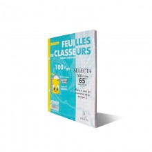 FEUILLES CLASSEUR 17X22 100P 60G SELECTA