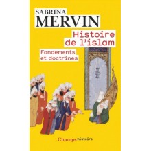 HISTOIRE DE L'ISLAM - MERVIN