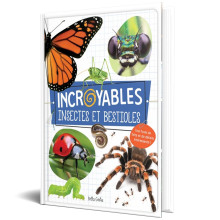 Incroyables Insectes Et Bestioles - Petits Génies