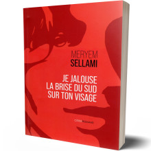 Je Jalouse La Brise du Sud Sur Ton Visage - Meryem Sellami
