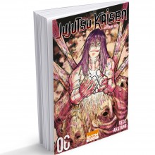 Jujutsu Kaisen - Tome 06, Rayon Noir (FR)