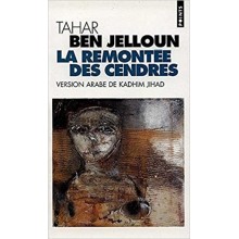 LA REMONTEE DES CENDRES