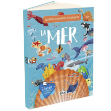 Livre La Mer Quoi, comment, pourquoi - Sassi