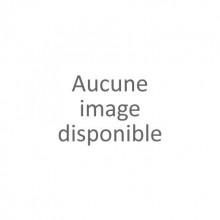 Meurtre en Mésopotamie