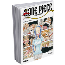 One Piece, FR Tome 23, L'aventure de Vivi