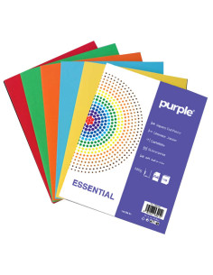 Paquet de 10 Chemises Cartonnées Couleurs Vives - Purple