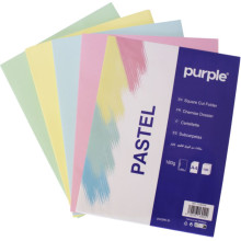 Paquet de 100 Chemises Cartonnées ESSENTIAL Purple 180g Pastel