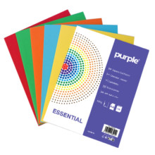 Paquet De 100 Chemises Cartonnées ESSENTIAL Purple 180g Vives