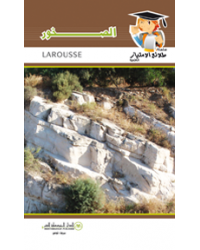الصخور - طلائع الامتياز العلمية