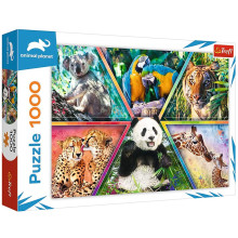 Puzzle 1000 Pcs, Régne Animal - Trefl