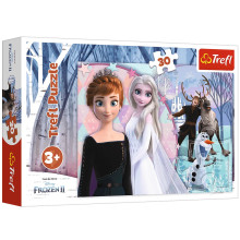 Puzzle 30 Pcs, Magique Congelé - Trefl