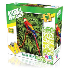 Puzzle Animal Planet Perroquet 100pcs 24x34cm - KS Puzzle
