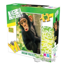 Puzzle Animal Planet Singe 100pcs 24x34cm - KS Puzzle