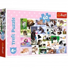 Puzzle Chats 60pcs - Trefl